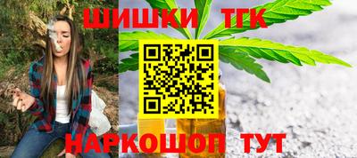 СК Бийск
