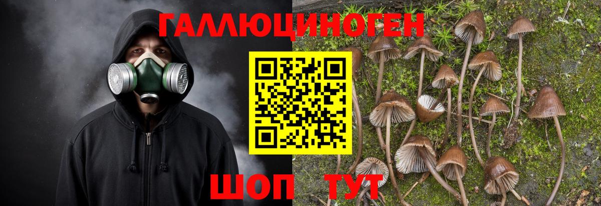 Галлюциногенные грибы Magic Shrooms Ипатово